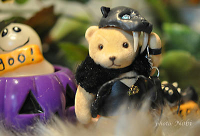 2011103007DSC_3733.jpg