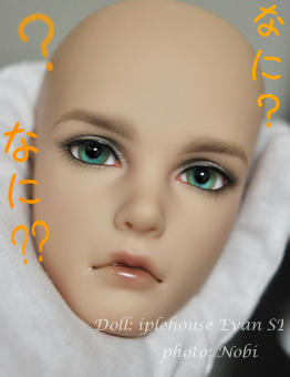 20120321DSC_0218.jpg