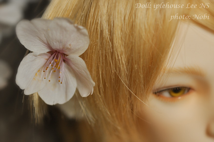 20120414DSC_0648.jpg