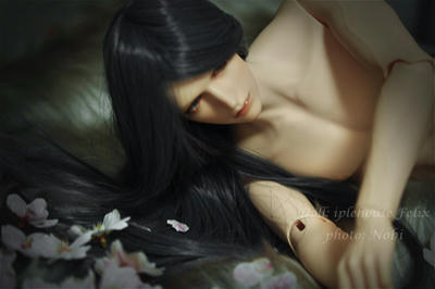 20120415DSC_4502.jpg