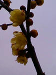 201002101102.jpg