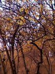 201002101111.jpg