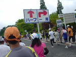 cde274e9.JPG