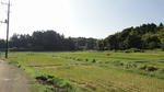61b2f618.JPG
