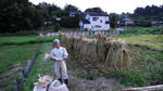 c2b40ede.JPG