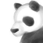 panda.jpg