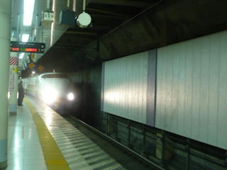 P1020568.jpg