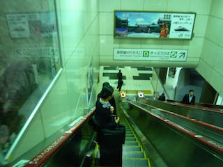 P1020559.jpg