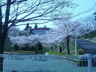 P1020673.jpg