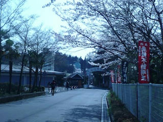P1020674.jpg