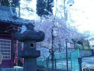 P1020675.jpg