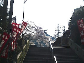 P1020677.jpg