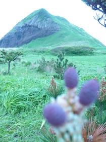 s1020844.jpg