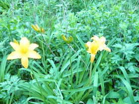 s1020842.jpg
