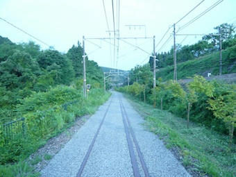 3da2f129.jpg