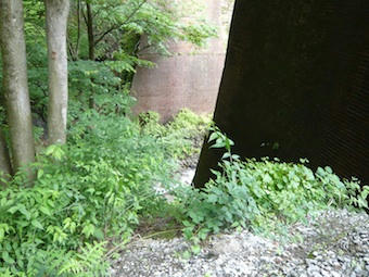 b60b54f0.jpg