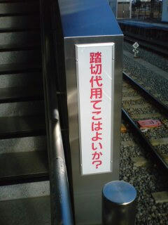 DSC00028.JPG