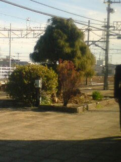 DSC00023.JPG