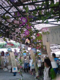DSC00003-1.JPG