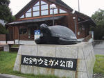 紀宝町ウミガメ公園