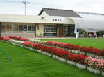 39d2867a.JPG