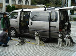 DSC01781.JPG