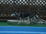 DSC01301.JPG