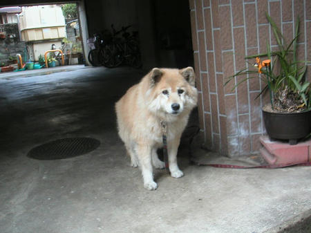 20090123.JPG