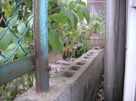 092ba529.JPG