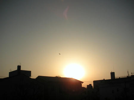 20090214.JPG