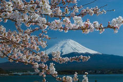 富士と桜