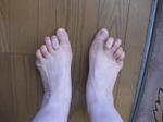 9256baff.JPG