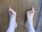 d04158e1.JPG