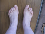 7b806232.JPG
