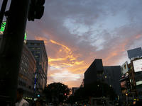 P1010079.JPG