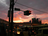 P1010081.JPG