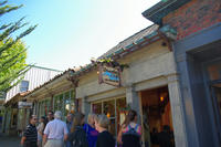 IMGP0454.JPG