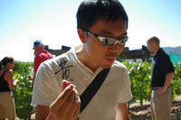 IMGP0634.JPG