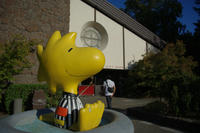 IMGP0691.JPG