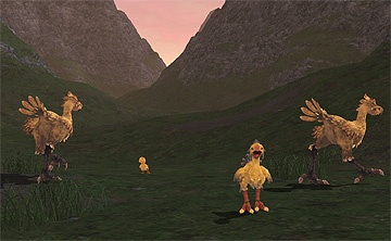 Chocobo Meeting
