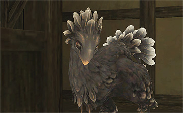 ClairLune Grow up