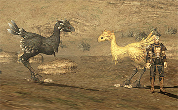 Lune and Dietmund's Chocobo
