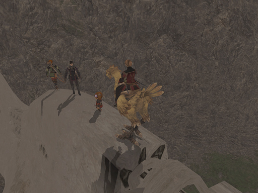 Chocobo Race Goal