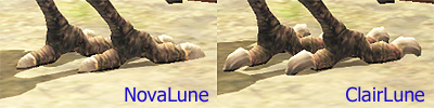 Compare Claw