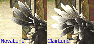 Compare Tail feather