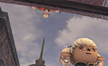 Apmau over roof