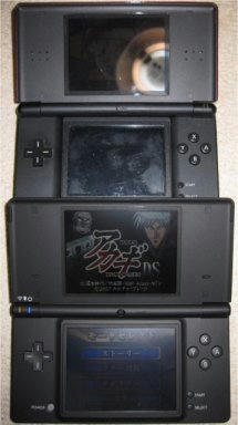 dsi_p.jpg