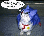 sfd.gif
