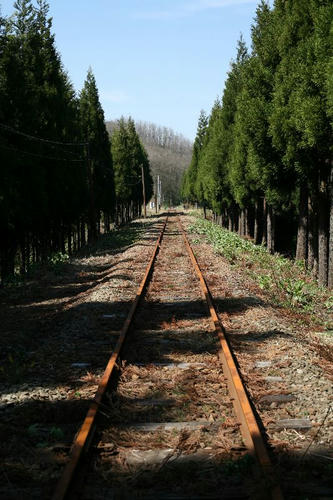 kosaka1.jpg
