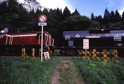 kosaka5.jpg